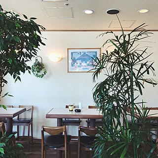 喫茶店 純喫茶のインテリア実例 Roomclip ルームクリップ