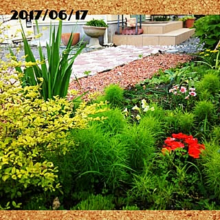玄関/入り口/写真のセンスが欲しい/植物/NO GREEN NO LIFE/RCの出会いに感謝♡...などのインテリア実例 - 2017-06-17 07:57:21