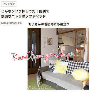 部屋全体/もうボロボロのソファベッド/ニトリのソファベッド/ありがとうございます♪ヽ(´▽`)//RCmag掲載のインテリア実例 - 2019-02-01 22:32:12