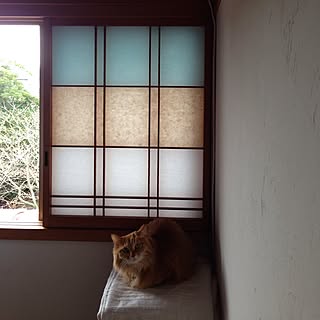 DIY 障子のインテリア・手作りの実例 | RoomClip(ルームクリップ)