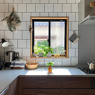 キッチン/観葉植物/無印良品/IKEA/アンティーク...などのインテリア実例 - 2019-09-15 17:09:59