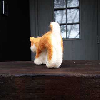 秋田犬のインテリア実例 Roomclip ルームクリップ