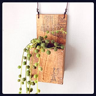 女性の、3DK、の「壁/天井」についてのインテリア実例