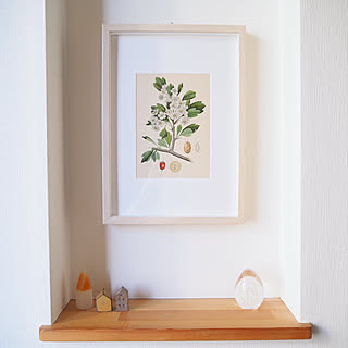 植物図鑑のインテリア実例 Roomclip ルームクリップ