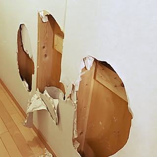 壁/天井/廊下壁面シリーズ/!!!!!アホ仲間!!!!!/フェイクに水あげ隊/インスタ→chiisoccer_11...などのインテリア実例 - 2016-12-10 18:07:44