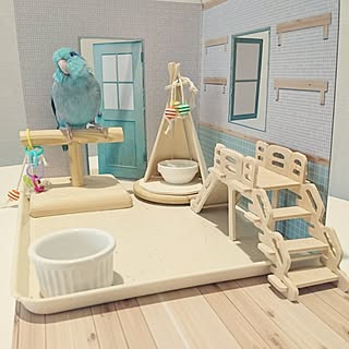 インコのインテリア実例 Roomclip ルームクリップ