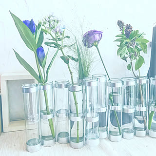 4月の花器のインテリア実例 Roomclip ルームクリップ