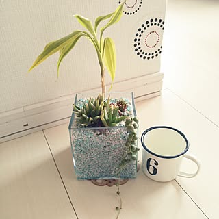 すべての美しい花の画像 Hd限定カラー ゼオライト 使い方 すべての美しい花の画像 Hd限定カラー ゼオライト 使い方