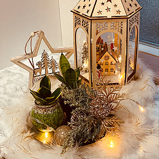 ハイドロカルチャー カインズのインテリア実例 Roomclip ルームクリップ