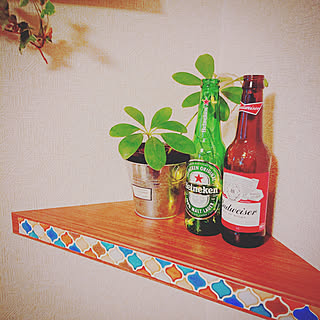 棚/いつもいいね！ありがとうございます♪/ありがとうございます/カポック/空き瓶...などのインテリア実例 - 2020-01-23 16:25:34