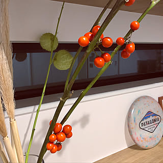 ドライフラワーのある暮らし/ナチュラル/観葉植物/ドライフラワー/玄関/入り口のインテリア実例 - 2020-02-25 05:13:04