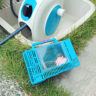 4歳次男/100均 虫かご/ショウリョウバッタ/芝生のある家/芝生のある暮らし...などのインテリア実例 - 2020-09-17 08:46:37