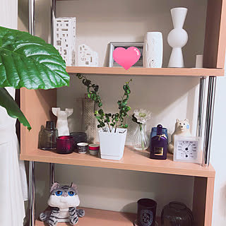 リサラーソン フラワーベース/リサラーソン 猫/ディプティックキャンドル/DESIGN HOUSE STOCKHOLM/ホルムガード フローラ...などのインテリア実例 - 2019-04-16 22:50:24