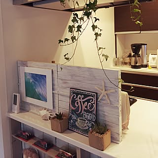 キッチン/DIY/マンション/植物/観葉植物...などのインテリア実例 - 2015-02-15 17:25:25