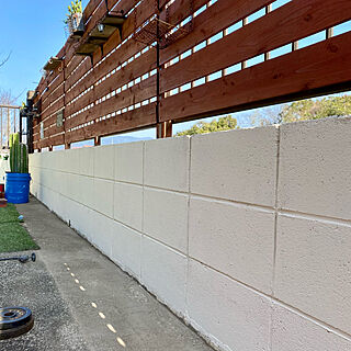 ブロック塀塗装/お庭/板壁DIY/ガラクタガーデン/塗り直し...などのインテリア実例 - 2022-01-28 19:55:02