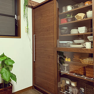 ウンベラータ/ディノス家具/パントリー収納/ミニチュアダックスと暮らす家/ブラウンインテリア...などのインテリア実例 - 2020-01-24 06:33:55