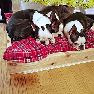 Diy 犬のベッドのインテリア 手作りの実例 Roomclip ルームクリップ Diy 犬のベッドのインテリア 手作りの実例 Roomclip ルームクリップ