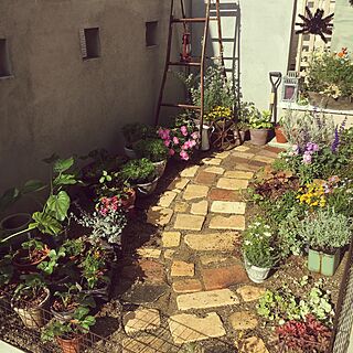 庭づくりdiy 小さい庭 気持ちは広い庭のインテリア 手作りの実例 Roomclip ルームクリップ