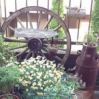 玄関/入り口/ミルク缶/ブリキ/グリーン×雑貨/植物...などのインテリア実例 - 2018-05-15 16:51:02