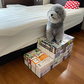 牛乳パック再利用 牛乳パックのドッグステップのインテリア実例 Roomclip ルームクリップ