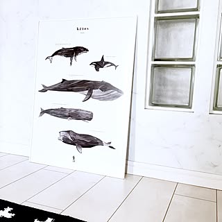クジラのポスターのインテリア実例 Roomclip ルームクリップ