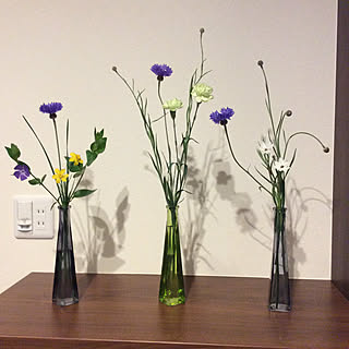 にらの花のインテリア実例 Roomclip ルームクリップ