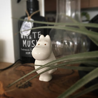 棚/緑のある暮らし/いつもいいね！ありがとうございます♪/No flower no life/三階建て...などのインテリア実例 - 2018-01-23 16:41:38