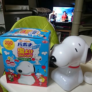 虫除け スヌーピーのインテリア実例 Roomclip ルームクリップ
