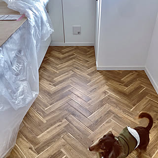 サンゲツ アクセントクロス 吹き付け断熱のまとめページ Roomclip ルームクリップ