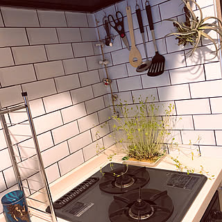 キッチン/白/メトロタイル風/レンガ壁紙/壁紙...などのインテリア実例 - 2018-11-18 15:26:58