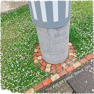 ヒメイワダレソウ/2020.6.30/ブロックレンガ/ガーデンフェンス/キャンドゥ...などのインテリア実例 - 2020-06-30 17:16:49