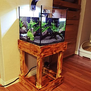 玄関 入り口 水草水槽のインテリア実例 Roomclip ルームクリップ