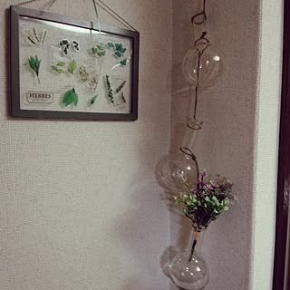 丸底フラスコのインテリア実例 Roomclip ルームクリップ