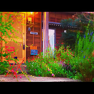 萩の花のインテリア実例 Roomclip ルームクリップ