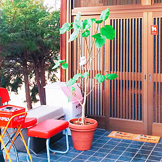 玄関/入り口/築30年/昭和のお家/いいねありがと♡/コメントありがと♡...などのインテリア実例 - 2019-03-06 16:38:07