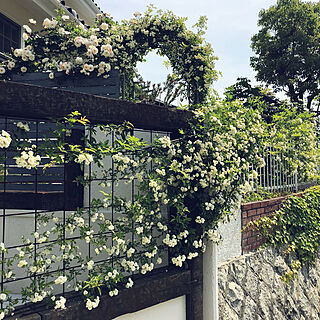 玄関/入り口/アーチ/植物/バラ/花のある暮らし...などのインテリア実例 - 2018-05-01 10:45:38