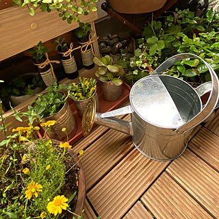 玄関 入り口 ブリキジョーロのインテリア実例 Roomclip ルームクリップ 玄関 入り口 ブリキジョーロのインテリア実例 Roomclip ルームクリップ