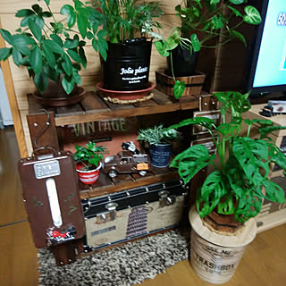 棚/アメリカン/いいね!ありがとうございます◡̈♥︎/初心者/見てくれた方々有難うございます♬...などのインテリア実例 - 2017-10-02 19:02:36