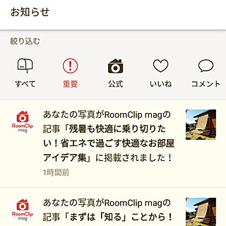日射遮蔽のインテリア実例 Roomclip ルームクリップ