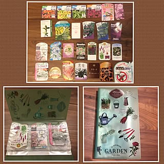 机/これで庭造りも快適に⁈/100均の名刺入れ利用法/植物のネーム札!/花の名前...などのインテリア実例 - 2017-05-23 19:13:49