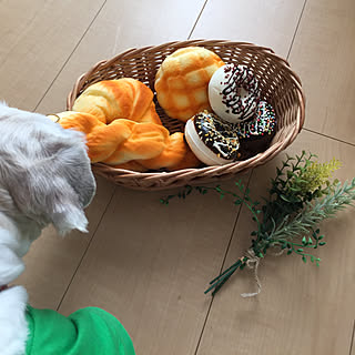 今日も素敵な1日を❤️/クオリティ高いぞ!/ちびっ子ギャング誕生日♡/全種類欲しいザンス(≧◡≦)/また来ないかな?妹...などのインテリア実例 - 2017-11-13 13:19:11