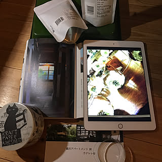 銀月ウクレレ教室のチラシ/二住生活/銀月アパートメント/銀月アとohigeさんタンポポコラボ~/台湾ウーロン茶...などのインテリア実例 - 2018-06-01 23:25:58
