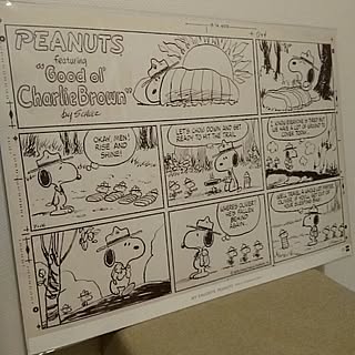 スヌーピー 男の一人暮らしのインテリア実例 Roomclip ルームクリップ