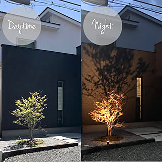 木のひかりのインテリア実例 Roomclip ルームクリップ