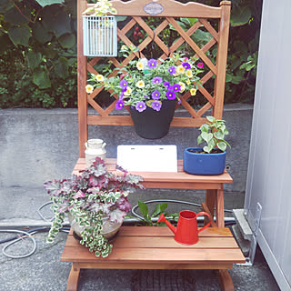 セリア Seria 花台のまとめページ Roomclip ルームクリップ セリア Seria 花台のまとめページ Roomclip ルームクリップ