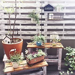 女性の、4LDK、家族住まいの「玄関/入り口」についてのインテリア実例