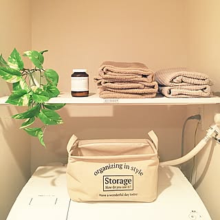 棚/泉州タオル/marks&web/フェイクグリーン/Daiso...などのインテリア実例 - 2016-10-09 13:18:00