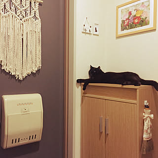 玄関/入り口/ねこばかりでごめんなさい/どんな場所もねこさまのもののようです/黒猫りひとくん♡/ねこと暮らす...などのインテリア実例 - 2018-06-11 20:28:16