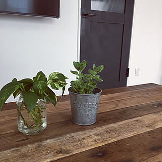 ポトス水挿し 観葉植物のインテリア実例 Roomclip ルームクリップ ポトス水挿し 観葉植物のインテリア実例 Roomclip ルームクリップ