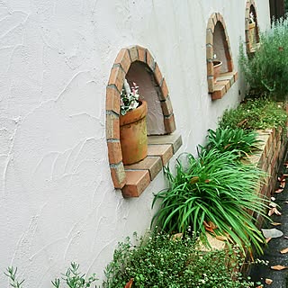 ハーブ 白い花のおしゃれなアレンジ 飾り方のインテリア実例 Roomclip ルームクリップ